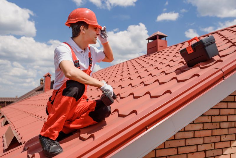 Specialized Roofing Repair Services